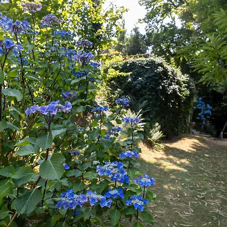 Casabella Гостевой дом Кастеллетто-сопра-Тичино